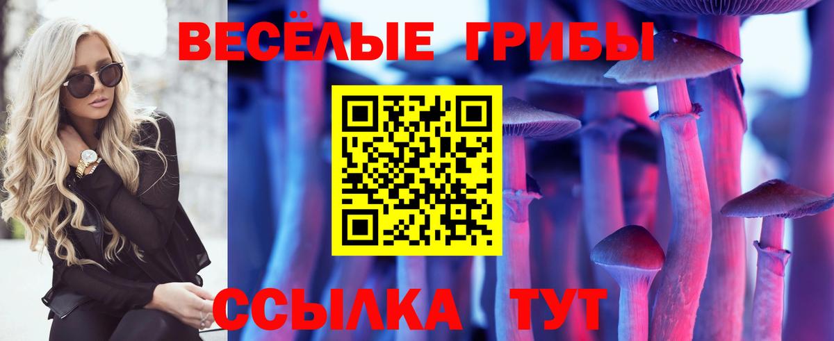 Псилоцибиновые грибы прущие грибы Егорьевск